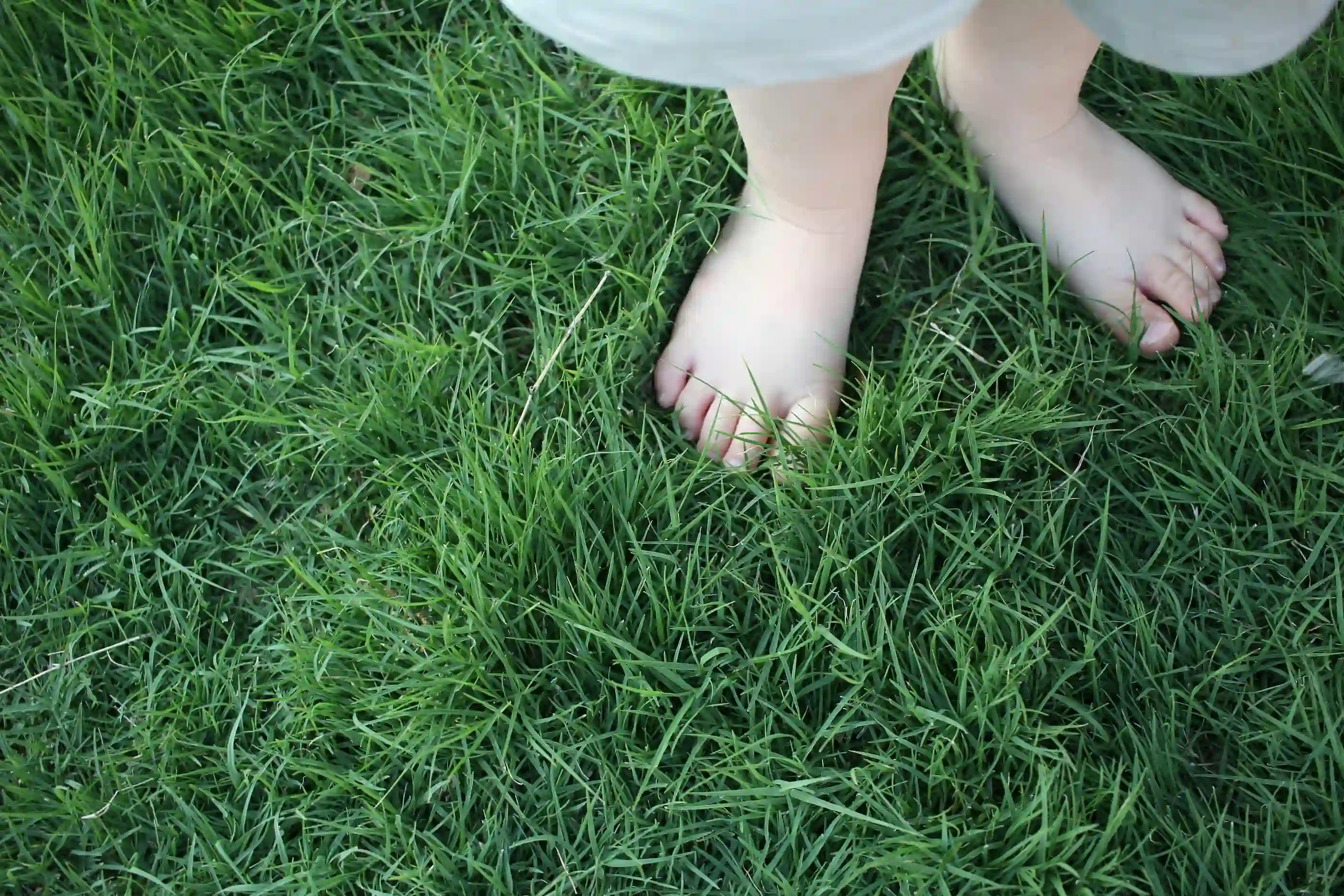 Child's bare feet standing on lush green grass
